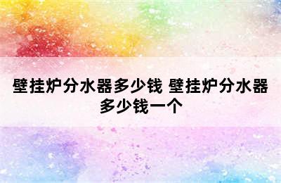 壁挂炉分水器多少钱 壁挂炉分水器多少钱一个